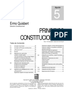 principios constitucionales.pdf