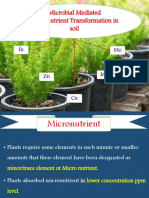 Microbial Mediated Micronutrient Transformation in Soil: Fe Mo MN