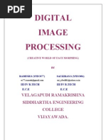 1258 Digital Image Processing