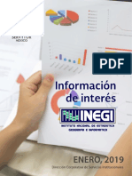 INEGI-Enero-2019.pdf
