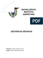 Gestión de Archivos Biq PDF