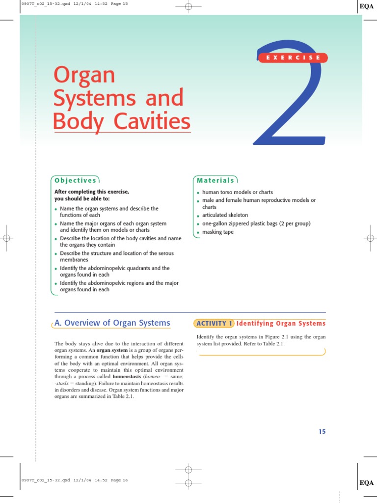 Organ Systems and Body Cavities | PDF | Human Body | Peritoneum