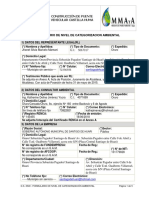 1.2. Formulario Categorizacion Puente Castilla Huma