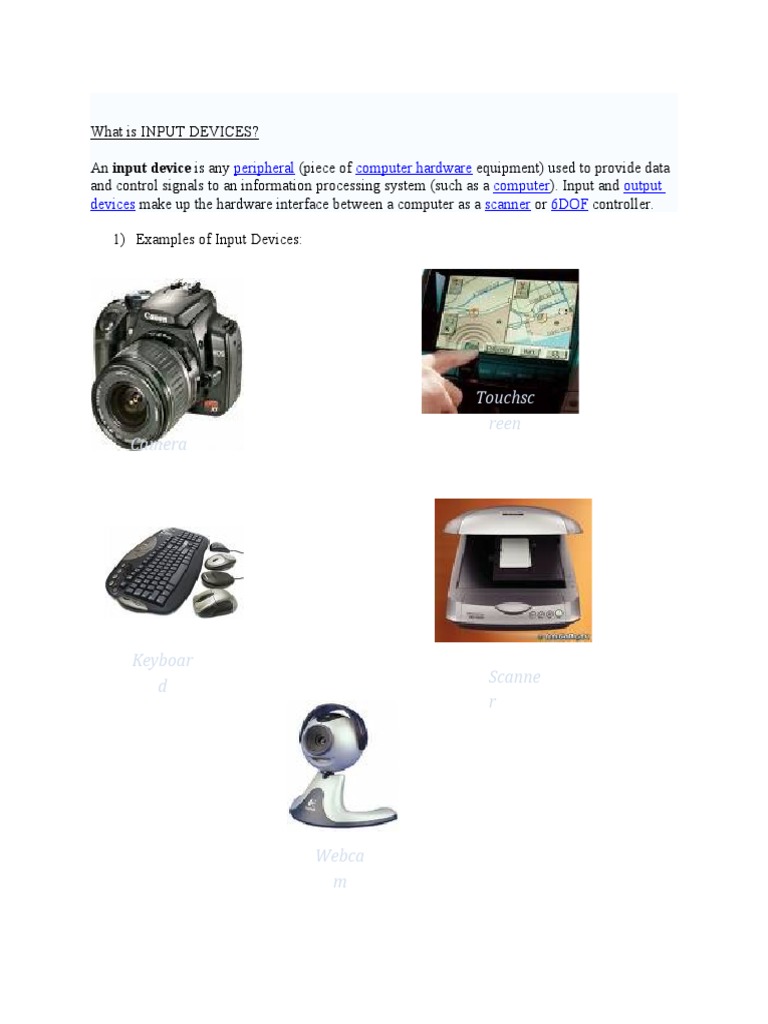 Understanding Input Devices Explained | PDF