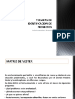 Tecnicas de Identificacion de Proyectos