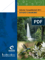 Informe_Geoambiental_Carabobo.pdf