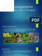 Microorganismo 150714013640 Lva1 App6892