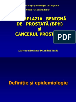 prostata rol fiziologic