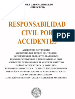 Responsabilidad Civil Por Accidentes - Roberto Lopez Cabana
