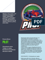 Pilot Menor