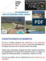 Presentacion Aneic - Sedimentos.pdf