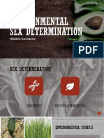 Environmental Factors Determine Sex