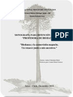 Cosmovision Mapuche PDF