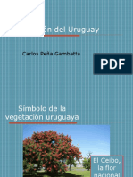 PDC PEÑA GAMBETTA (C005) Vegetación.pdf