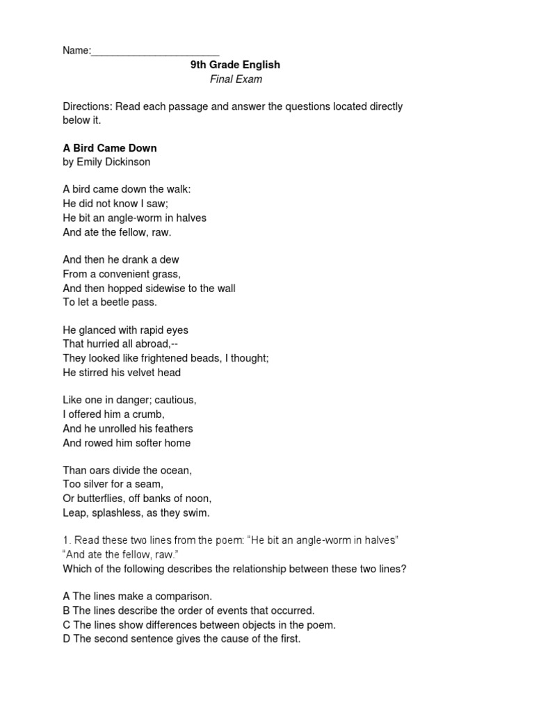 9th Grade English Exam | PDF | Shoal | Meat