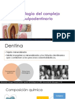Histología Del Complejo PD