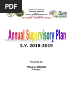 Annual Supervisory Plan.docx