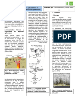 Resumen Ejecutivo Seminario Geomorfología en Depositos Epitermales