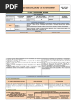 Plan Curricular Anual de Investigación Bi - 2015-2016
