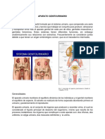 APARATO GENITOURINARIO Completo