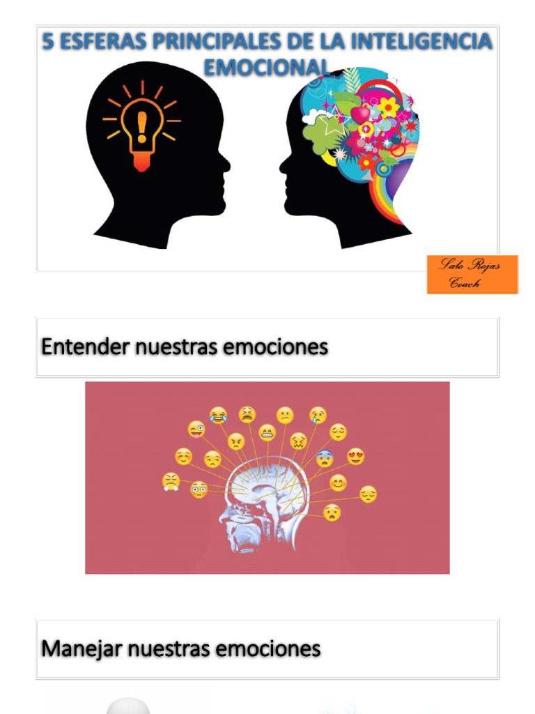 Inteligencia Emocional PDF PDF