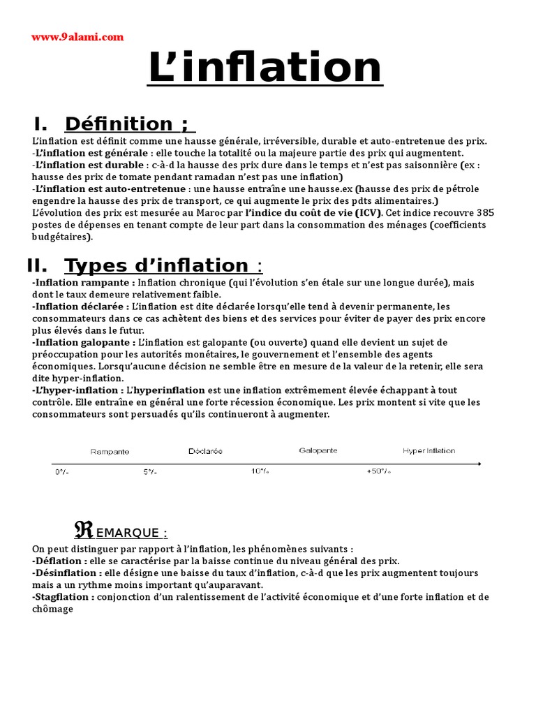 introduction dissertation en economie