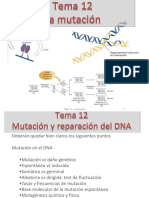 Mutación DNA: Espontánea vs Inducida