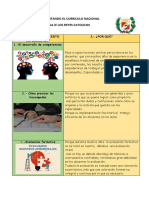 PDF Implementando El Curriculo Nacional