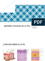 Anatomia y Fisiologia de La Piel Mas Trabajod