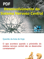 snc-ld desenvolvimento sistema nervoso.pdf