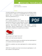 Grupos Sanguineos PDF