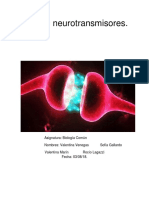 Trabajo neurotransmisores.docx