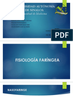 Copia de Fisiologia faríngea y laringea.pptx