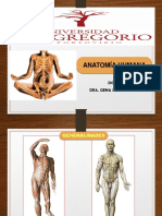 Anatomia I