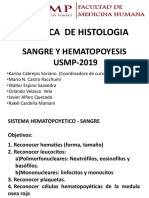 Usmp Practica - Sistema Hematopoyetico - 2019