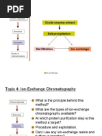Download Ion Exchange Chromatography Ppt by subodhgirdhar SN40501179 doc pdf