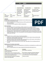 Neuroanatomy Revision Notes PDF