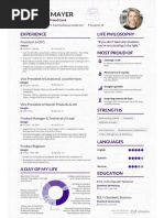 Marissa Mayer's infamous CV.pdf