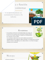 Estructura y Función de Los Ecosistemas