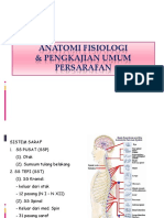 ANFIS Sistem Persarafan & P'Kajian Umum