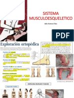 Semiologia de Sistema Musculoesqueletico PEDIA