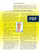 Revista Dobrogeana 2 PDF
