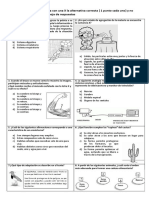 Prueba de Diagnostico - Ciencias Naturales - 5 Basico - Listas