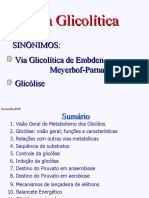Glicolise