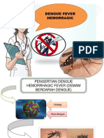 Dengue Fever Hemorragic