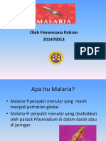 Malaria PPT Flo
