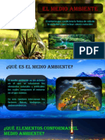 El Medio Ambiente