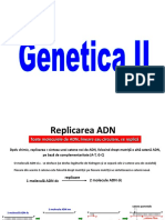 Genetica II - Replicare ADN - Eco B PDF