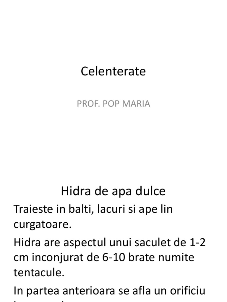 Celenterate Hidra | PDF