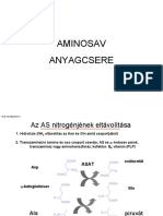 Aminosav Anyagcsere PDF